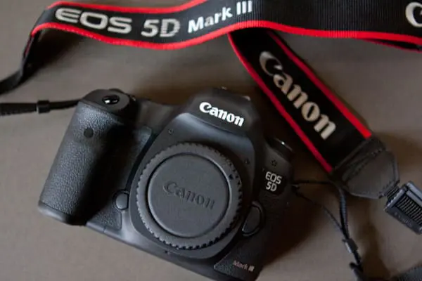 When You Grow Up | Twin Cities Familys Blog