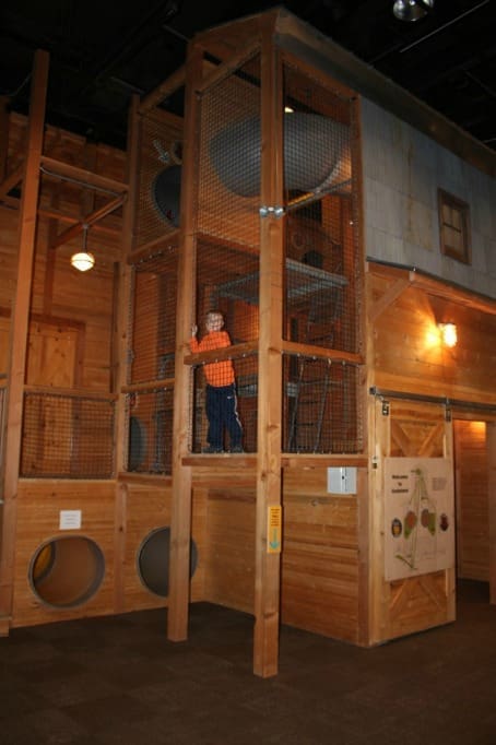 Explore the Minnesota History Center | Twin Cities Familys Blog