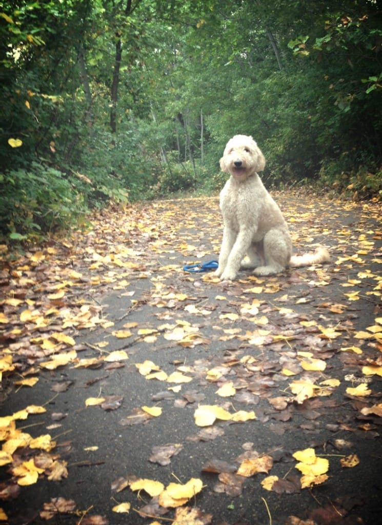 When You Grow Up | Twin Cities Familys Blog