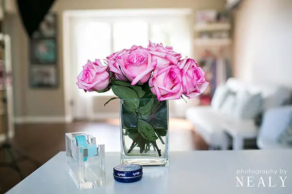 Working from Home | Twin Cities Familys Blog