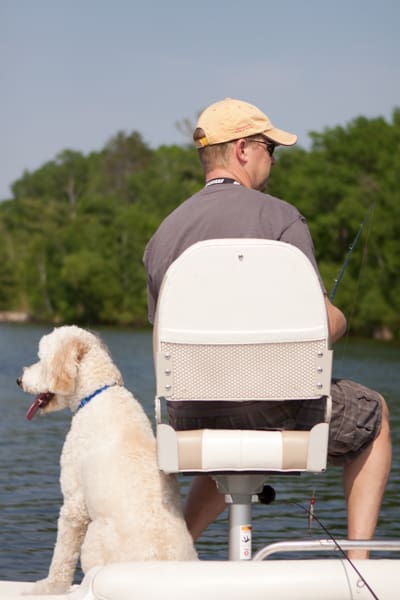 Ode to the Family Dog | Twin Cities Familys Blog