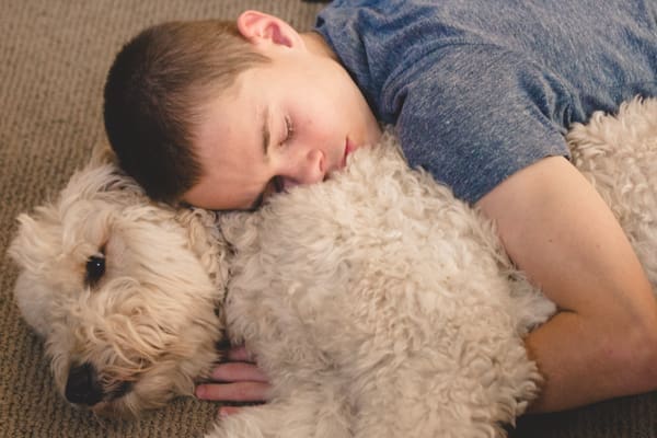 Ode to the Family Dog | Twin Cities Familys Blog