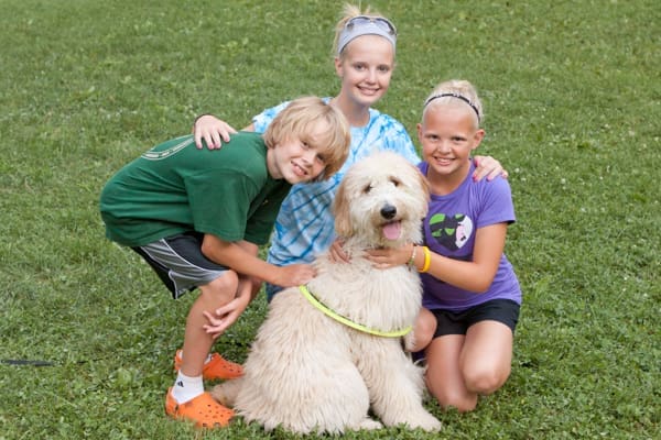 Ode to the Family Dog | Twin Cities Familys Blog