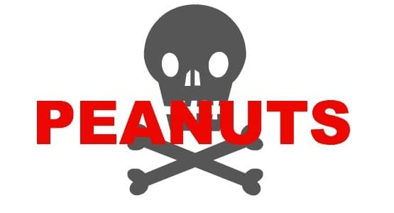 Allergy-Friendly Playdate | Twin Cities Familys Blog