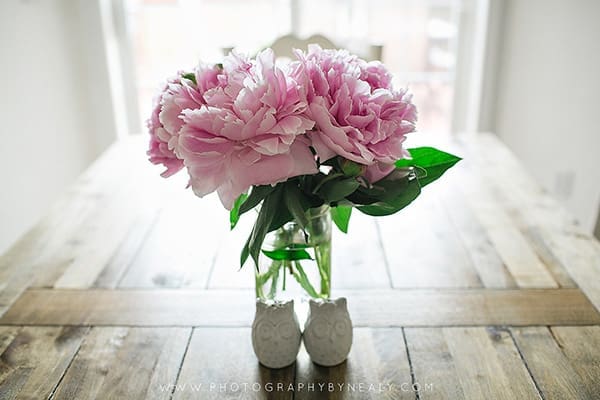 Our Little Kitchen Redo | Twin Cities Familys Blog