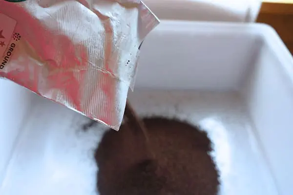 Iced Cold-Brewed Coffee | Twin Cities Familys Blog