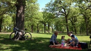 8 Picnic Essentials | Twin Cities Family