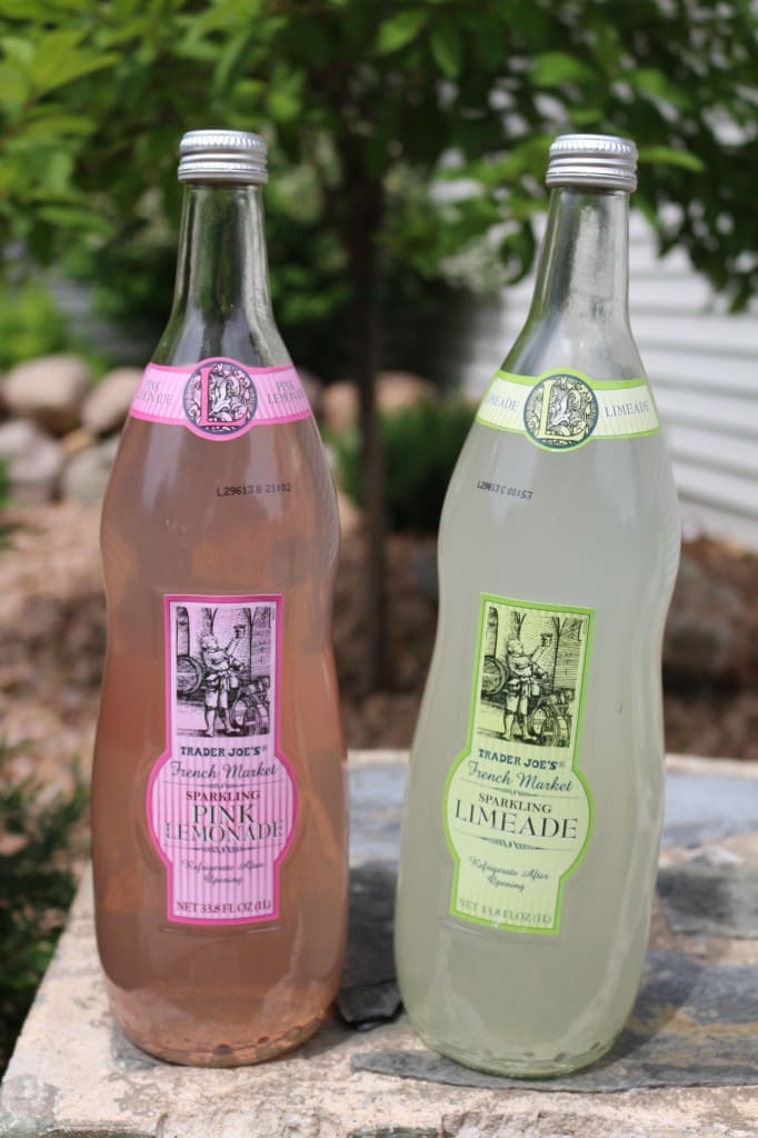 Eight Essentials for the Perfect Picnic | Twin Cities Familys Blog