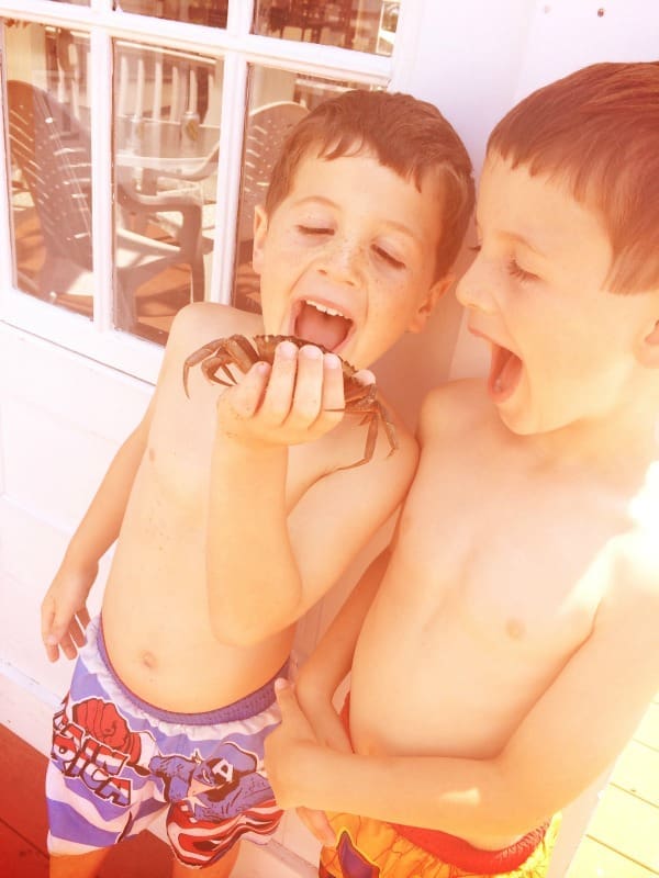 6 Signs That You Might Be Living In A Boy's World | Twin Cities Familys Blog