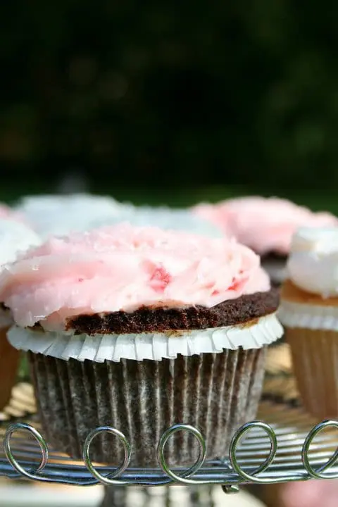 Let Them Eat {Birthday} Cake! | Twin Cities Familys Blog