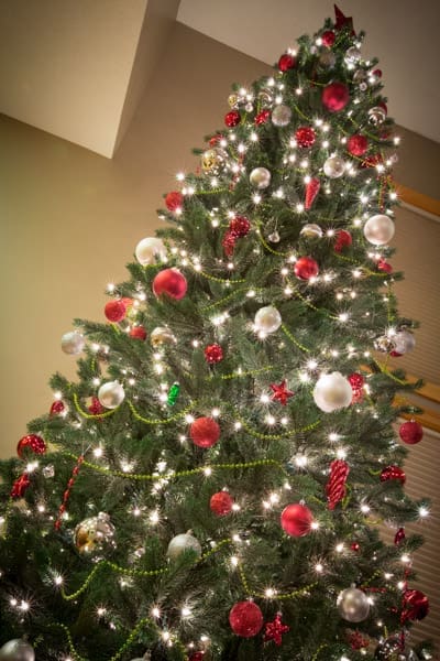 Holiday Traditions | Twin Cities Familys Blog