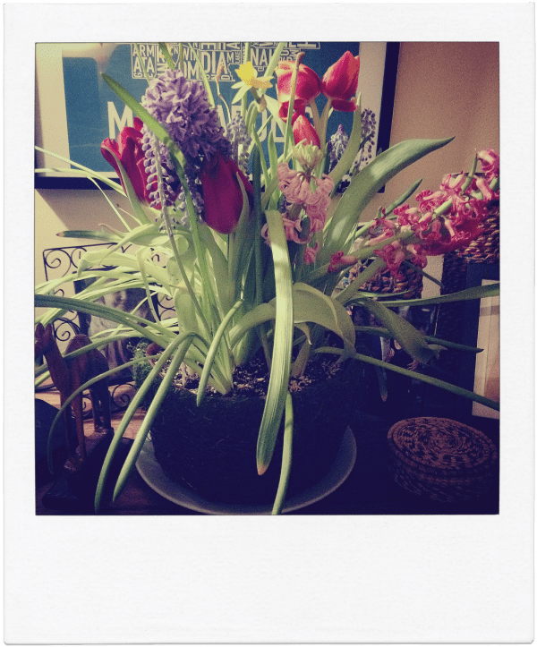 Thank You: A Thyroid Cancer Journey {Part 2} | Twin Cities Familys Blog