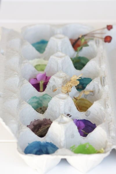 Spring Nature Hunt | Twin Cities Familys Blog