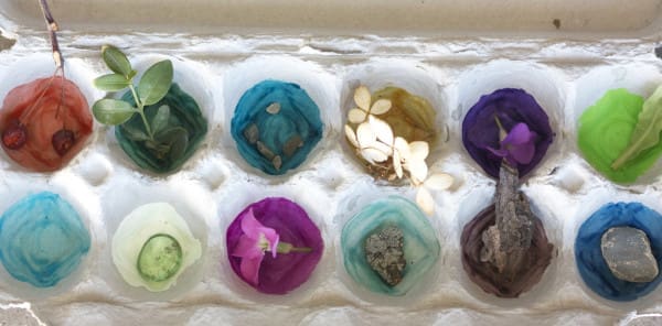 Spring Nature Hunt | Twin Cities Familys Blog