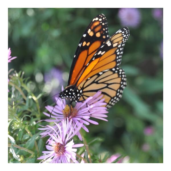 When An Amniocentesis Becomes Your Saving Grace | Twin Cities Familys Blog