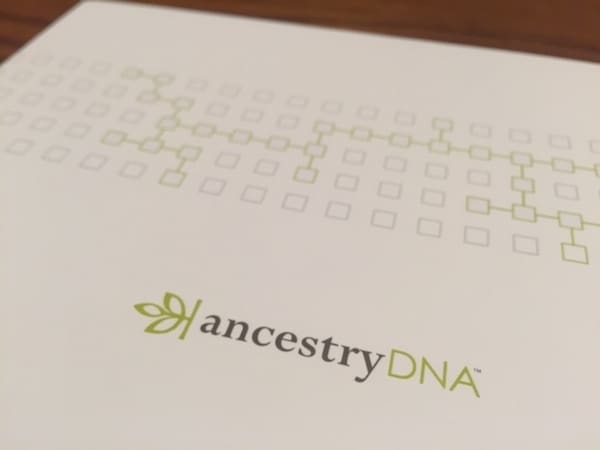 The Gift of DNA | An Adoptee's Perspective | Twin Cities Familys Blog
