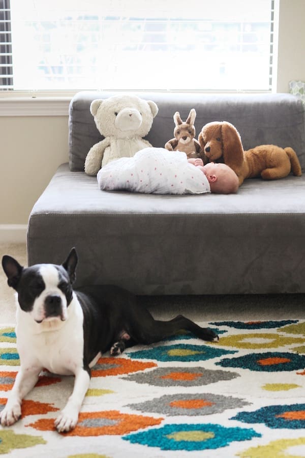 Six Pieces of Advice I Ignored in the First Six Months | Twin Cities Familys Blog