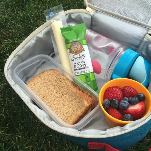 Granola Bars: The Perfect Picnic Snack