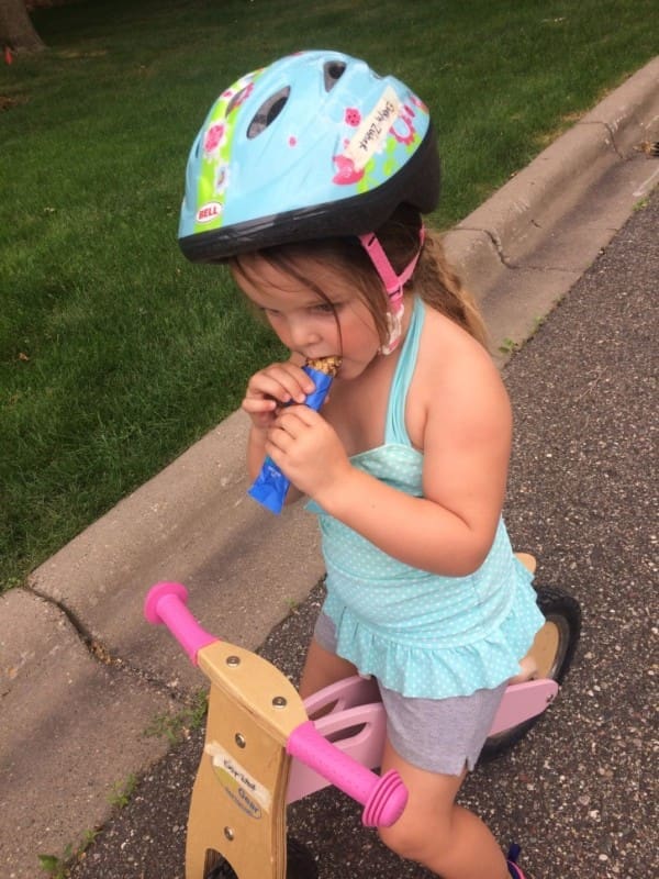 Granola Bars: The Perfect Picnic Snack