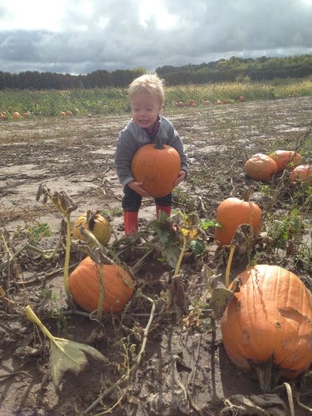 Carpe Halloween | Twin Cities Familys Blog