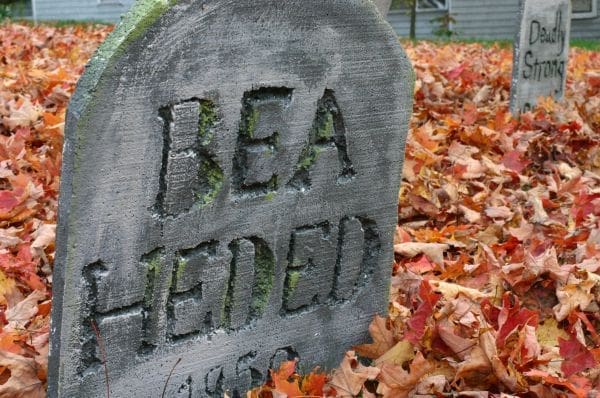 Carpe Halloween | Twin Cities Familys Blog