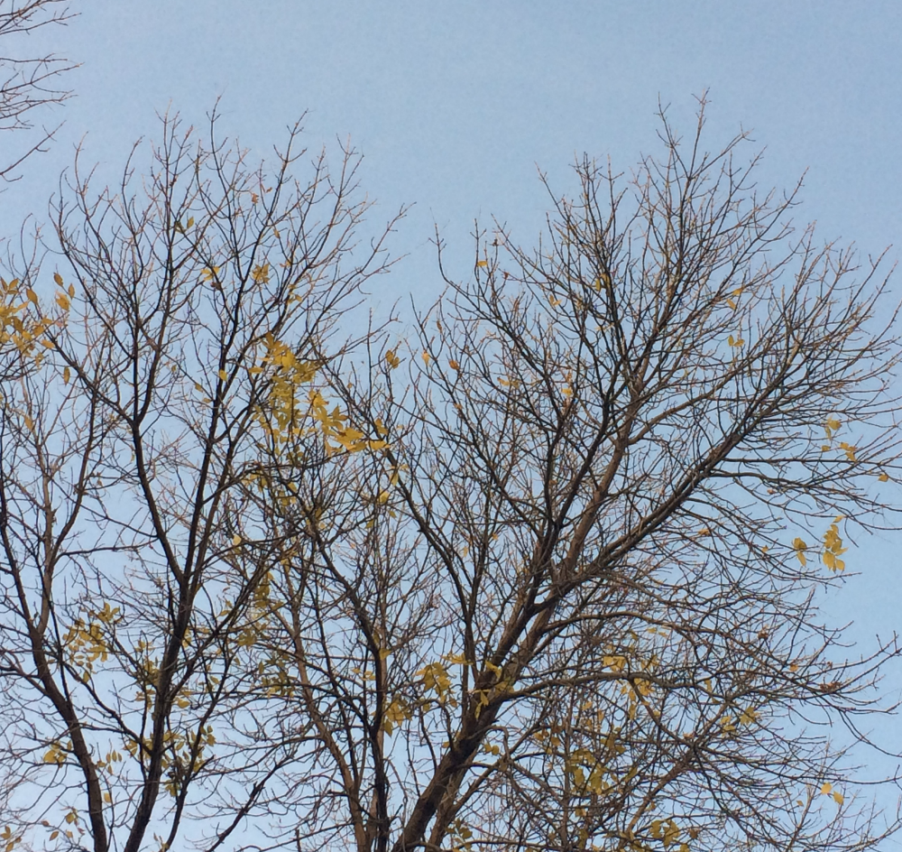 Dry Weather...Dry Skin: Find Your Remedy