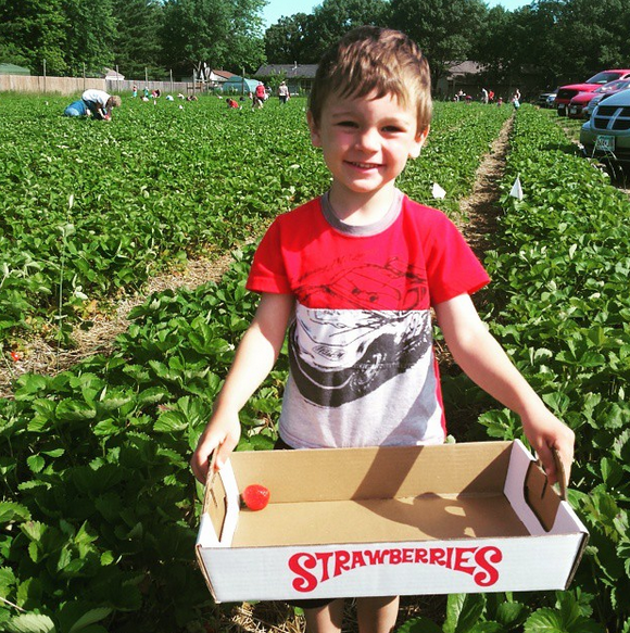 Do You Have a Picky Eater? | Twin Cities Familys Blog