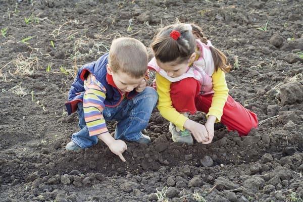 Executive Function: Skills for Life! | Twin Cities Familys Blog