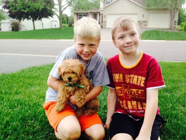 From Sibling Rivalry to Sibling Revelry | Twin Cities Familys Blog