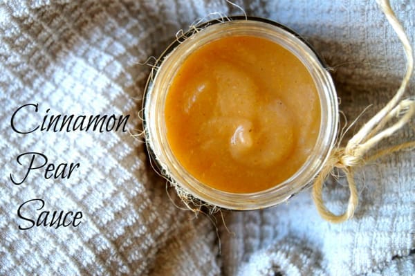 Baby Bites: Cinnamon Pear Sauce | Twin Cities Familys Blog