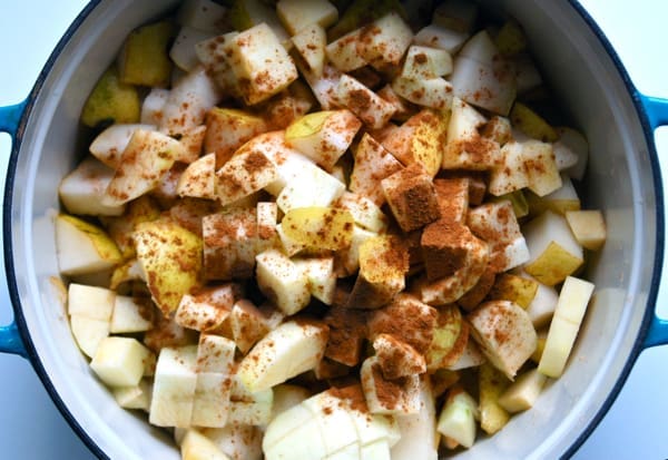 Baby Bites: Cinnamon Pear Sauce | Twin Cities Familys Blog