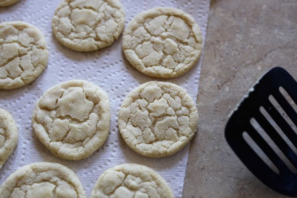 The Best Sugar Cookies | Twin Cities Familys Blog