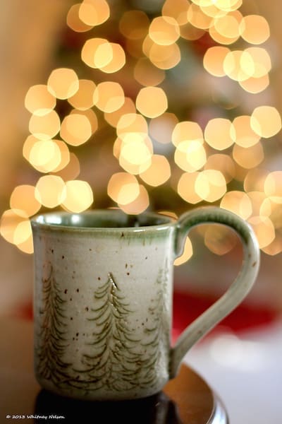 Dear Santa, I've Been Good | Twin Cities Familys Blog