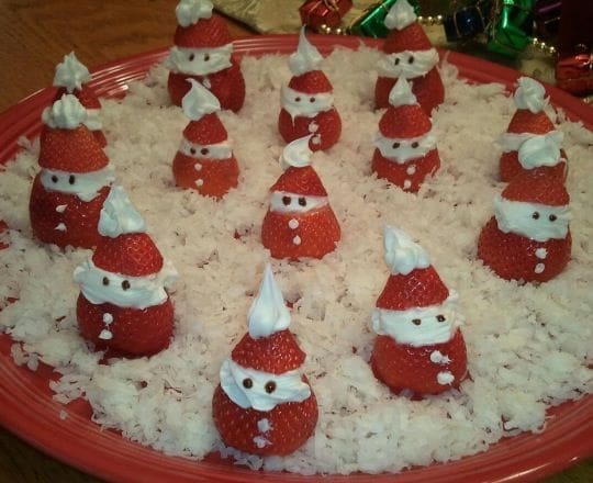 26 Non-Traditional Christmas Traditions | Twin Cities Familys Blog