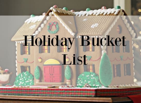Holiday Bucket List | Twin Cities Familys Blog