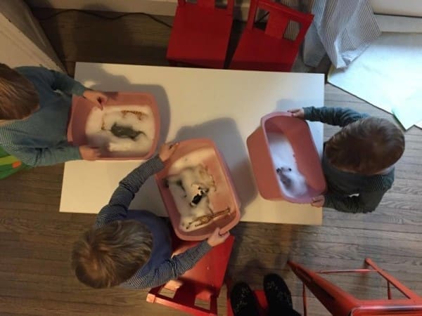 Gettin' Clean With Boulder Cleaners | Twin Cities Familys Blog