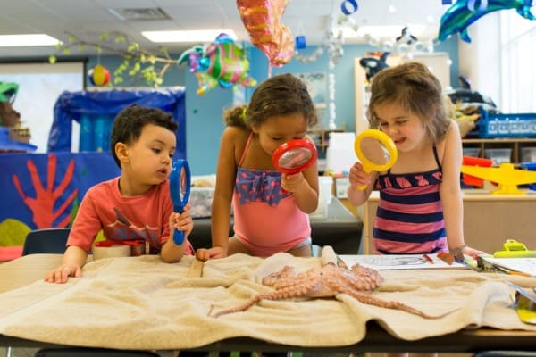 Top Seven Tips to Preparing Your Child for Kindergarten | Twin Cities Familys Blog