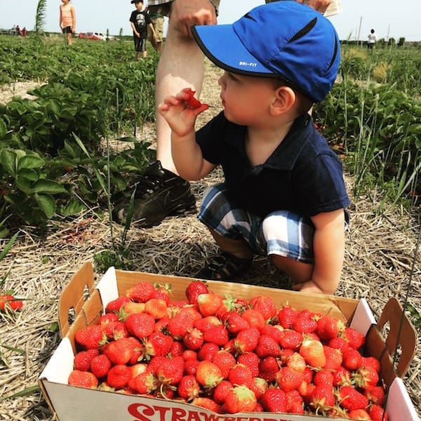 National Nutrition Month®: Savor the Flavor for Eating Right | Twin Cities Familys Blog