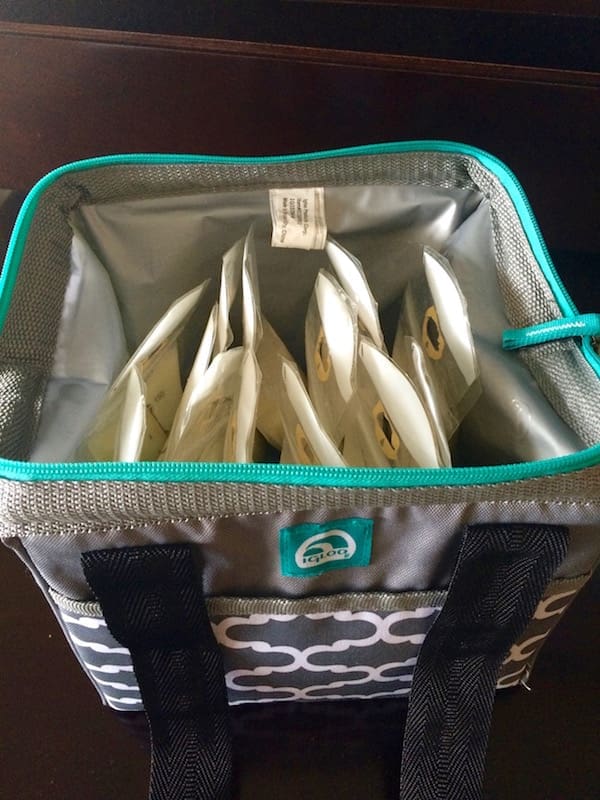 Ten Tips for Pumping Moms Who Travel | Twin Cities Familys Blog