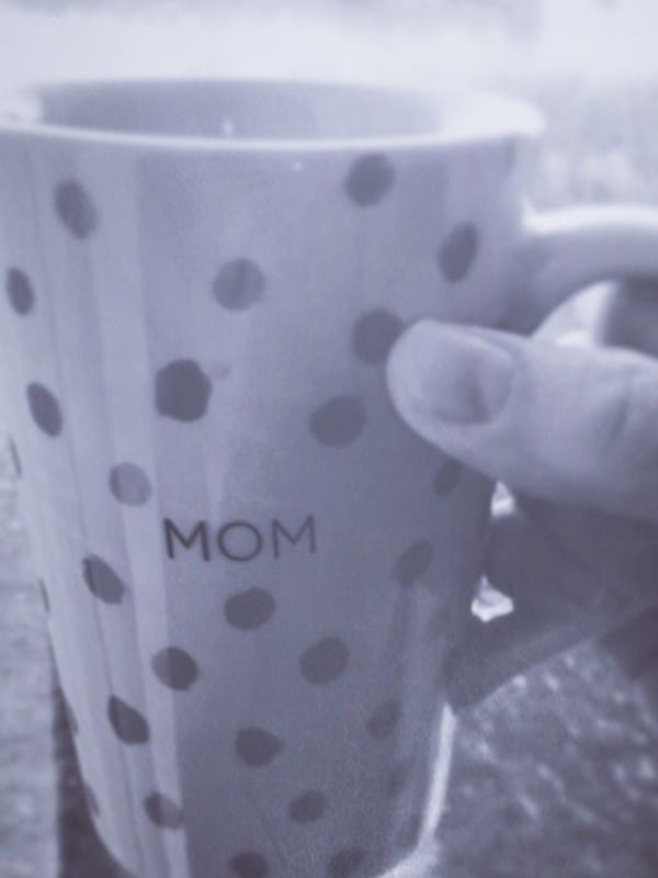 Mommy Inmate: Confessions of a Stay-at-Home Mom | Twin Cities Familys Blog