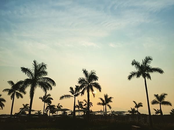 How To Take Better iPhone Pictures | Twin Cities Familys Blog