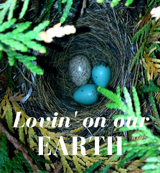 Lovin' On Our Earth | Twin Cities Familys Blog