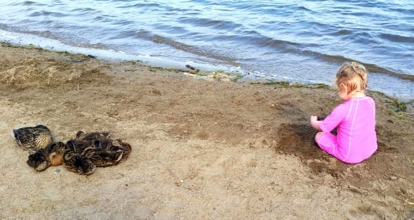 Lovin' On Our Earth | Twin Cities Familys Blog