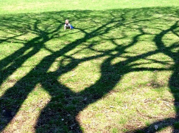 Lovin' On Our Earth | Twin Cities Familys Blog