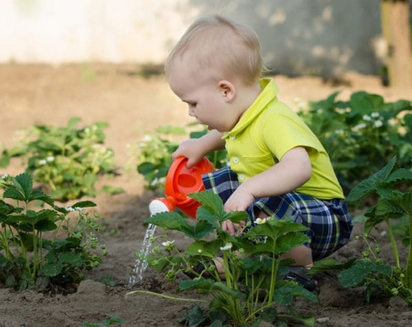 Gardening with Children | Twin Cities Familys Blog