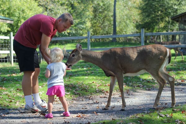 Family Day Trip - Taylors Falls | Twin Cities Familys Blog