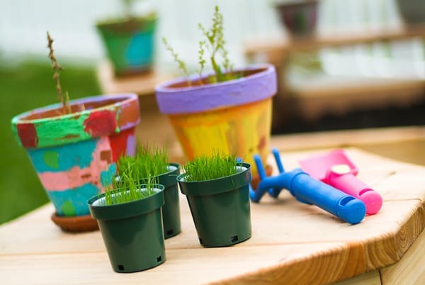 Gardening with Children | Twin Cities Familys Blog