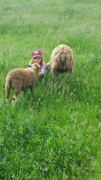 Family Day Trip - Delano & Waconia | Twin Cities Familys Blog