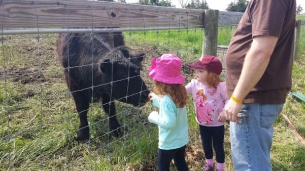 Family Day Trip - Delano & Waconia | Twin Cities Familys Blog