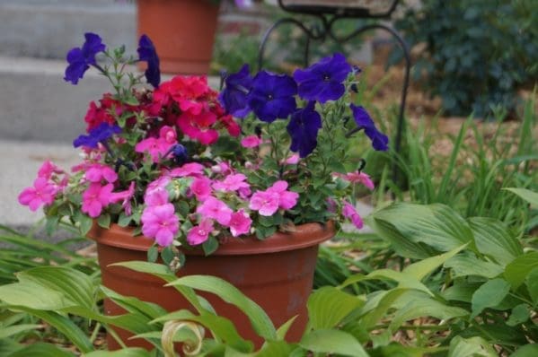 How a Fence Saved My Marriage and Family | Twin Cities Familys Blog